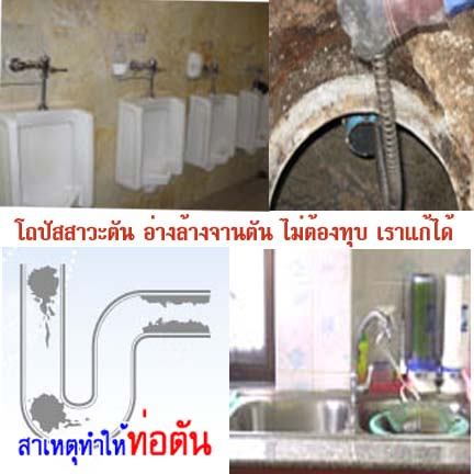 งูเหล็ก ท่อตัน ท่ออุดตันทำอย่างไร ท่อน้ำตัน  ชักโครกตัน  ส้วมตัน ท่อ น้ำ ตัน ส้วม อุด ตัน  
